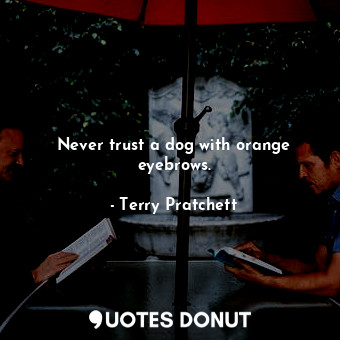  Never trust a dog with orange eyebrows.... - Terry Pratchett - Quotes Donut