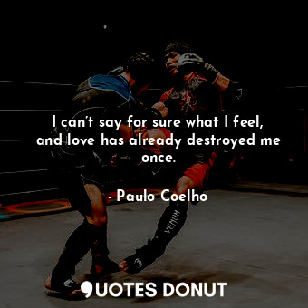  I can’t say for sure what I feel, and love has already destroyed me once.... - Paulo Coelho - Quotes Donut