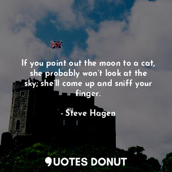  If you point out the moon to a cat, she probably won’t look at the sky; she’ll c... - Steve Hagen - Quotes Donut