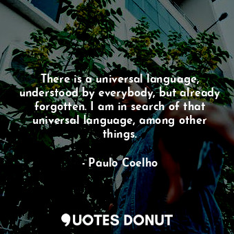 There is a universal language, understood by everybody, but already forgotten. I am in search of that universal language, among other things.