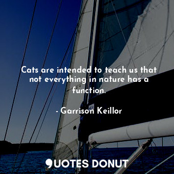 Cats are intended to teach us that not everything in nature has a function.