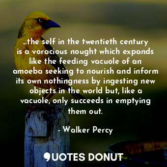  ...the self in the twentieth century is a voracious nought which expands like th... - Walker Percy - Quotes Donut