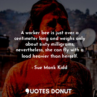  A worker bee is just over a centimeter long and weighs only about sixty milligra... - Sue Monk Kidd - Quotes Donut