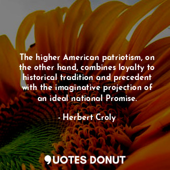 The higher American patriotism, on the other hand, combines loyalty to historical tradition and precedent with the imaginative projection of an ideal national Promise.