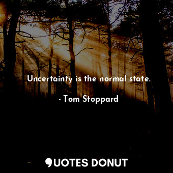 Uncertainty is the normal state.