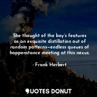 She thought of the boy’s features as an exquisite distillation out of random patterns—endless queues of happenstance meeting at this nexus.