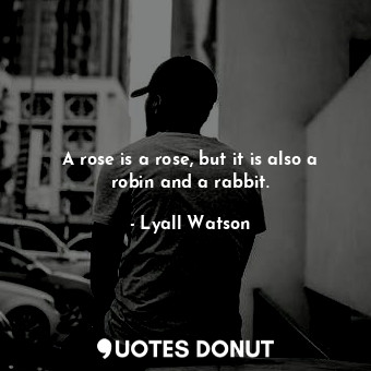  A rose is a rose, but it is also a robin and a rabbit.... - Lyall Watson - Quotes Donut