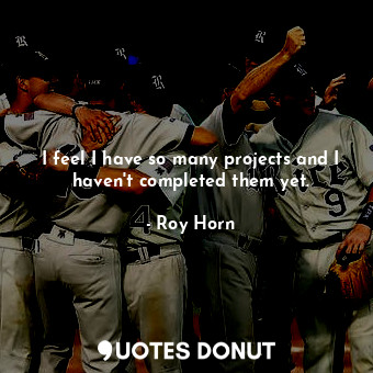  I feel I have so many projects and I haven&#39;t completed them yet.... - Roy Horn - Quotes Donut