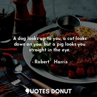 A dog looks up to you, a cat looks down on you, but a pig looks you straight in the eye.