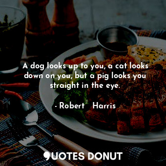  A dog looks up to you, a cat looks down on you, but a pig looks you straight in ... - Robert   Harris - Quotes Donut