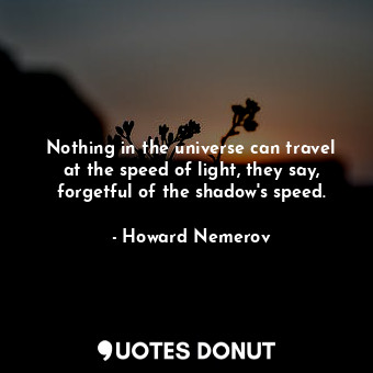  Nothing in the universe can travel at the speed of light, they say, forgetful of... - Howard Nemerov - Quotes Donut