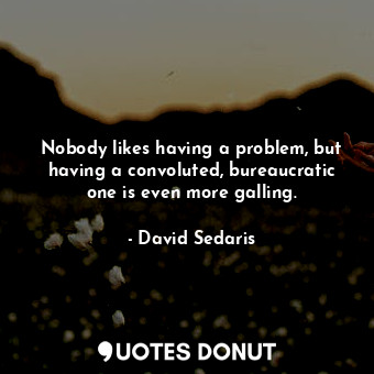 Nobody likes having a problem, but having a convoluted, bureaucratic one is even... - David Sedaris - Quotes Donut