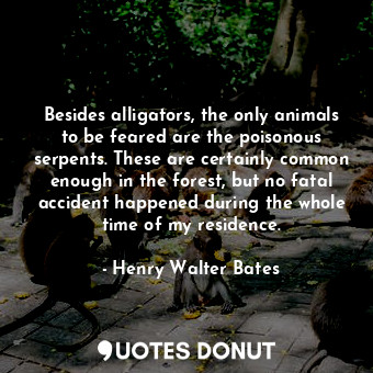  Besides alligators, the only animals to be feared are the poisonous serpents. Th... - Henry Walter Bates - Quotes Donut