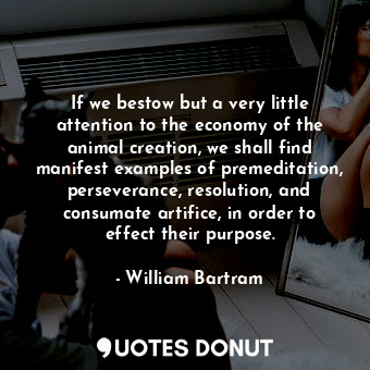 If we bestow but a very little attention to the economy of the animal creation, we shall find manifest examples of premeditation, perseverance, resolution, and consumate artifice, in order to effect their purpose.