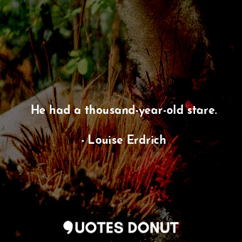  He had a thousand-year-old stare.... - Louise Erdrich - Quotes Donut