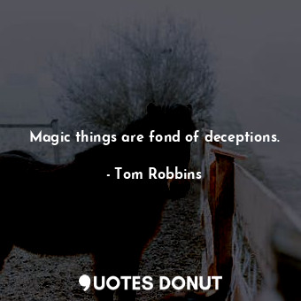 Magic things are fond of deceptions.