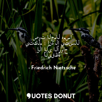  صوت الجمال همساً يتكلم : إنه لا يتسلل إلا إلى الأرواح اليقظة... - Friedrich Nietzsche - Quotes Donut