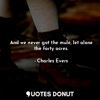  And we never got the mule, let alone the forty acres.... - Charles Evers - Quotes Donut