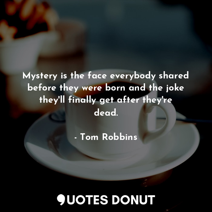 Mystery is the face everybody shared before they were born and the joke they'll finally get after they're dead.