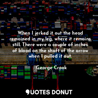 When I jerked it out the head remained in my leg, where it remains still. There were a couple of inches of blood on the shaft of the arrow when I pulled it out.