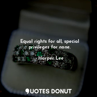  Equal rights for all, special privileges for none.... - Harper Lee - Quotes Donut