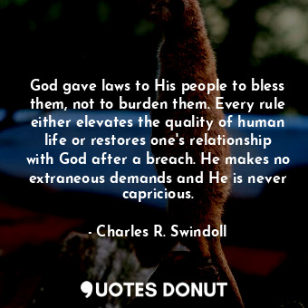 God gave laws to His people to bless them, not to burden them. Every rule either elevates the quality of human life or restores one's relationship with God after a breach. He makes no extraneous demands and He is never capricious.