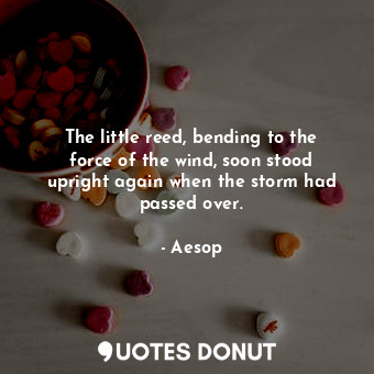  The little reed, bending to the force of the wind, soon stood upright again when... - Aesop - Quotes Donut