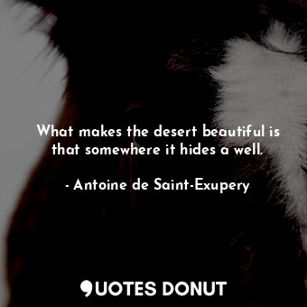  What makes the desert beautiful is that somewhere it hides a well.... - Antoine de Saint-Exupery - Quotes Donut