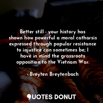 Better still - your history has shown how powerful a moral catharsis expressed through popular resistance to injustice can sometimes be; I have in mind the grassroots opposition to the Vietnam War.