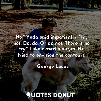 No,” Yoda said impatiently. “Try not. Do, do. Or do not. There is no try.” Luke closed his eyes. He tried to envision the contours,
