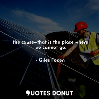  the cause—that is the place where we cannot go.... - Giles Foden - Quotes Donut