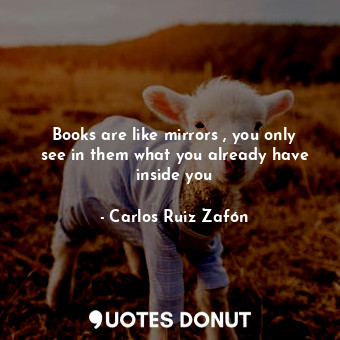  Books are like mirrors , you only see in them what you already have inside you... - Carlos Ruiz Zafón - Quotes Donut