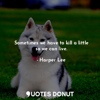 Sometimes we have to kill a little so we can live.