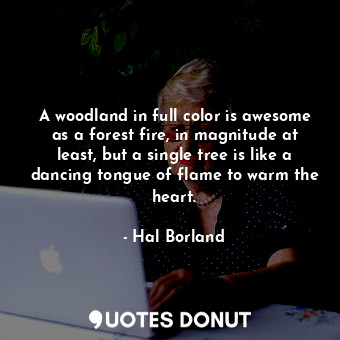 A woodland in full color is awesome as a forest fire, in magnitude at least, but a single tree is like a dancing tongue of flame to warm the heart.