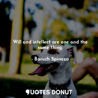  Will and intellect are one and the same thing.... - Baruch Spinoza - Quotes Donut