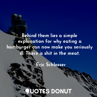  Behind them lies a simple explanation for why eating a hamburger can now make yo... - Eric Schlosser - Quotes Donut