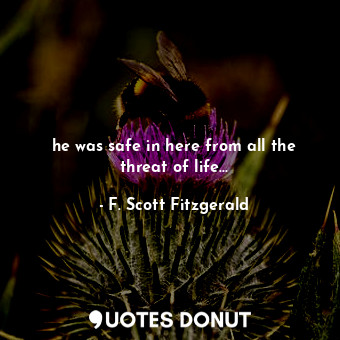  he was safe in here from all the threat of life...... - F. Scott Fitzgerald - Quotes Donut