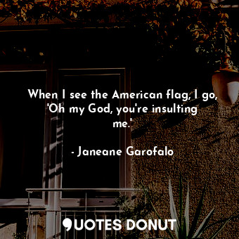  When I see the American flag, I go, &#39;Oh my God, you&#39;re insulting me.&#39... - Janeane Garofalo - Quotes Donut