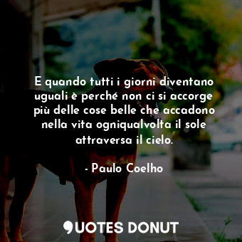  E quando tutti i giorni diventano uguali è perché non ci si accorge più delle co... - Paulo Coelho - Quotes Donut