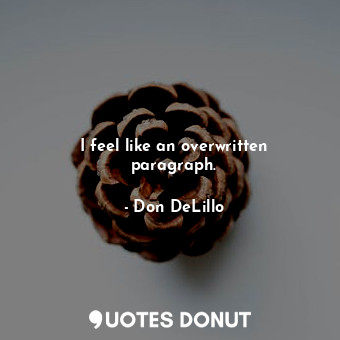  I feel like an overwritten paragraph.... - Don DeLillo - Quotes Donut