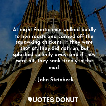  At night frantic men walked boldly to hen roosts and carried off the squawking c... - John Steinbeck - Quotes Donut
