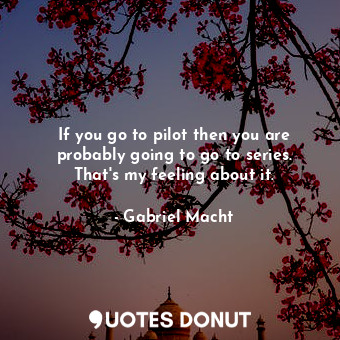  If you go to pilot then you are probably going to go to series. That&#39;s my fe... - Gabriel Macht - Quotes Donut