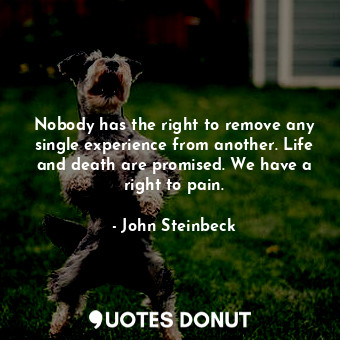 Nobody has the right to remove any single experience from another. Life and death are promised. We have a right to pain.