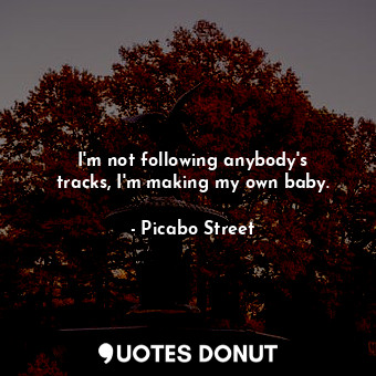 I&#39;m not following anybody&#39;s tracks, I&#39;m making my own baby.
