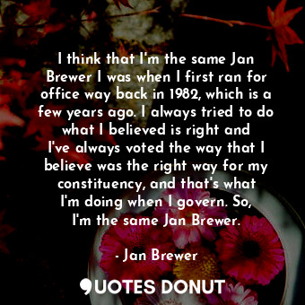 I think that I&#39;m the same Jan Brewer I was when I first ran for office way back in 1982, which is a few years ago. I always tried to do what I believed is right and I&#39;ve always voted the way that I believe was the right way for my constituency, and that&#39;s what I&#39;m doing when I govern. So, I&#39;m the same Jan Brewer.