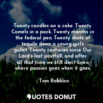 Twenty candles on a cake. Twenty Camels in a pack. Twenty months in the federal pen. Twenty shots of tequila down a young girl’s gullet. Twenty centuries since Our Lord’s last pratfall, and after all that time we still don’t know where passion goes when it goes.