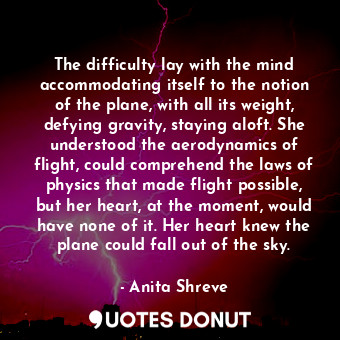 The difficulty lay with the mind accommodating itself to the notion of the plane, with all its weight, defying gravity, staying aloft. She understood the aerodynamics of flight, could comprehend the laws of physics that made flight possible, but her heart, at the moment, would have none of it. Her heart knew the plane could fall out of the sky.