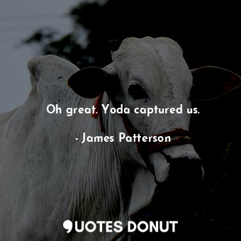  Oh great. Yoda captured us.... - James Patterson - Quotes Donut