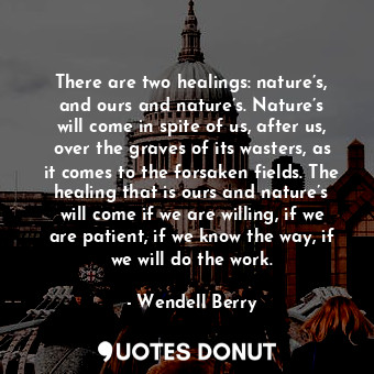 There are two healings: nature’s, and ours and nature’s. Nature’s will come in spite of us, after us, over the graves of its wasters, as it comes to the forsaken fields. The healing that is ours and nature’s will come if we are willing, if we are patient, if we know the way, if we will do the work.