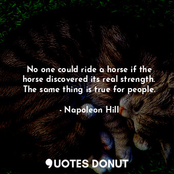  No one could ride a horse if the horse discovered its real strength. The same th... - Napoleon Hill - Quotes Donut